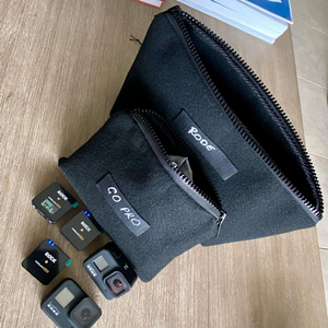 2 bags with go pro